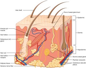 Klinik dermatoloji İzmir cilt hastalıkları dermatolog muayenesi